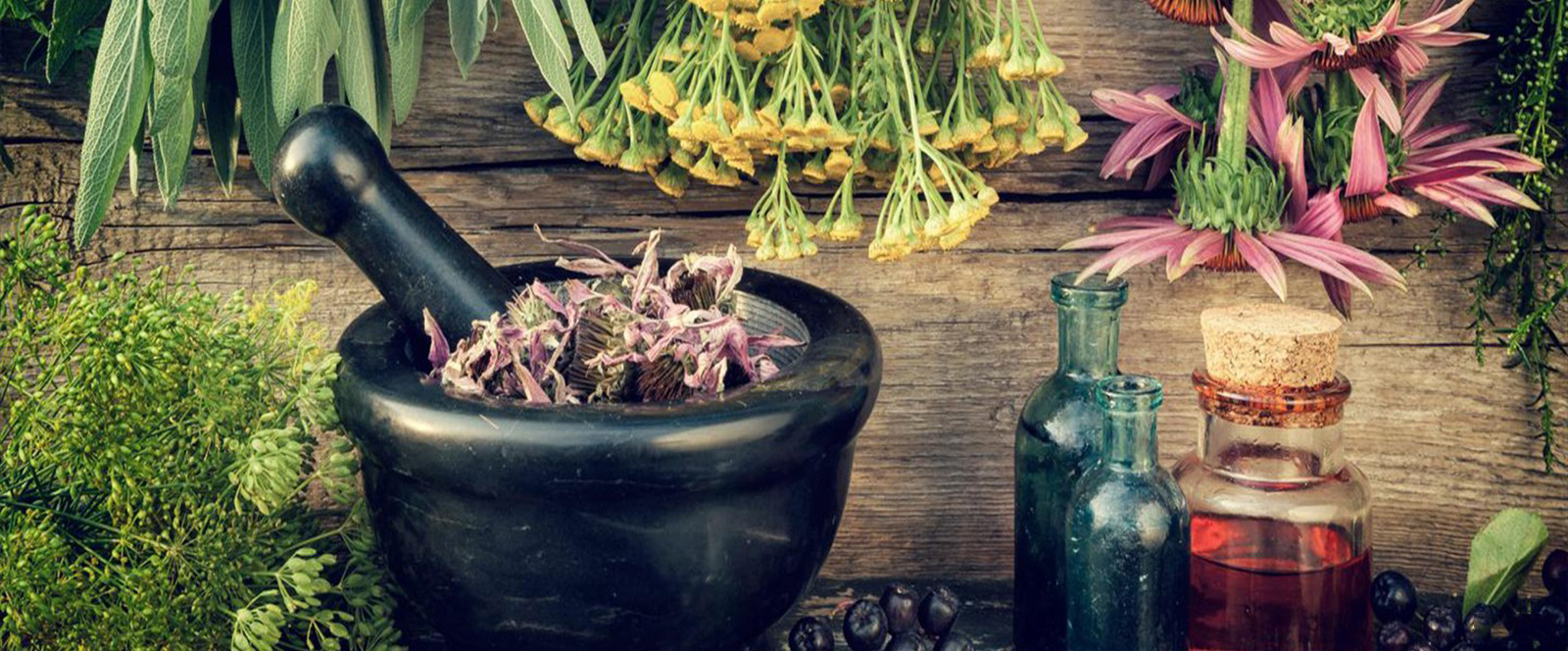 Ziran India Offers Various Herbal Extracts